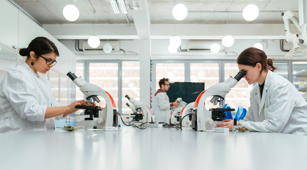 Странци хвале Петницу