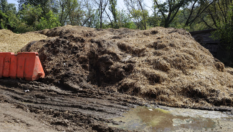 Градски завод за јавно здравље саопштио шта је узрок непријатних мириса 