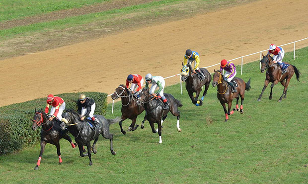 КОЊИЧКЕ ТРКЕ: Надмећу се галопери и касачи