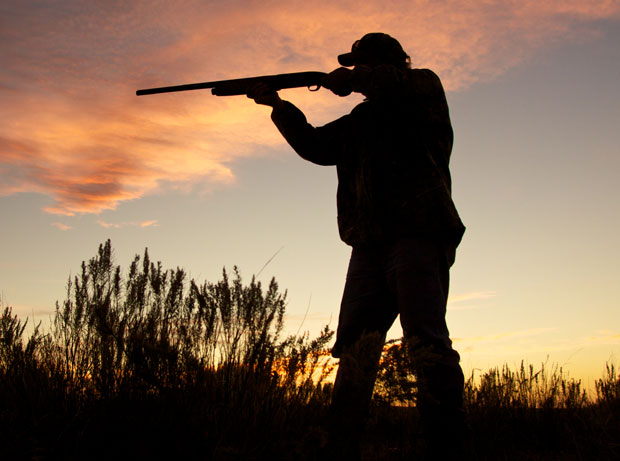 Друштво за заштиту птица: Спречити криволов препелица