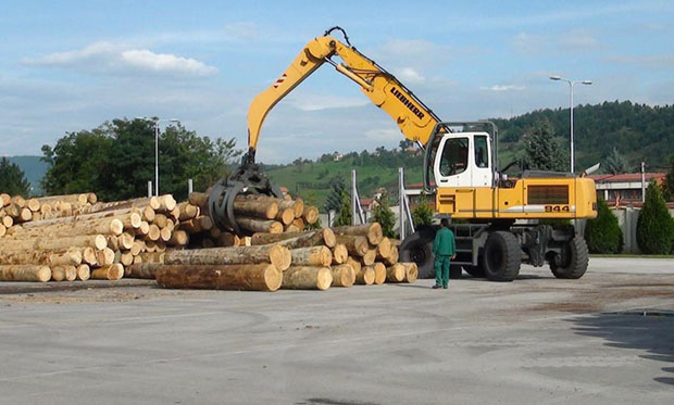 Пљевља: Власт упропастила пилане