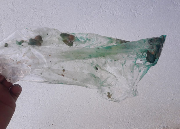 МЕШТАНИ НАШЛИ ОТРОВ: Тровање паса у Међашима код Бијељине