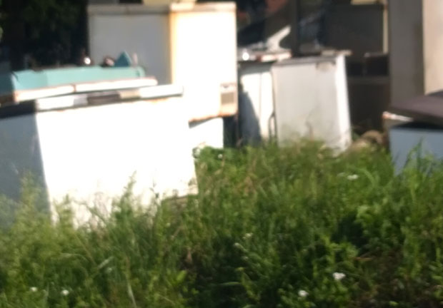 Папрене казне за неуредна дворишта