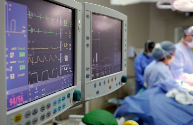 ТРОВАЊЕ НА ЈАХТИ: Отрована деца животно угрожена, отказују им органи, узрок угљен моноксид