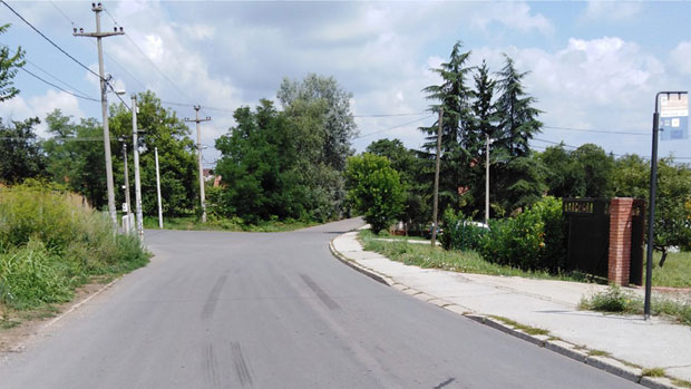 Цртају зебру у Остружници