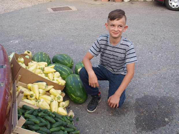 Распуст проводи на њиви и тезги