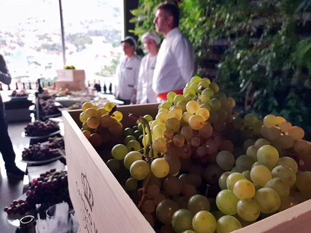 „Винска журка“ 17. августа у Требињу-граду вина, сунца и платана (ВИДЕО)