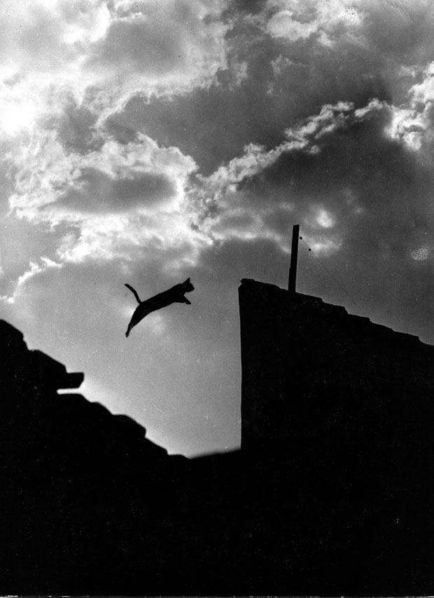 Уметност фотографије: Боривој Миросављевић