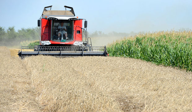 ЕПС жање житарице и бере воће


