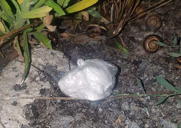 У КРАЉЕВУ УХАПШЕНА ДВОЈИЦА МЛАДИЋА: Диловали кокаин