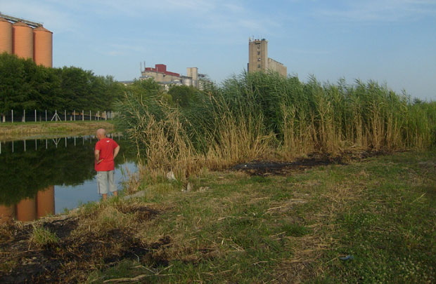 Бачки канал: Депонија квари пецање