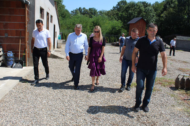 Произвођаче муче афричка куга и ниска цена