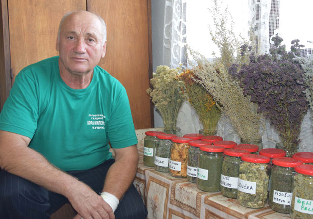 Сремуш из природне баште