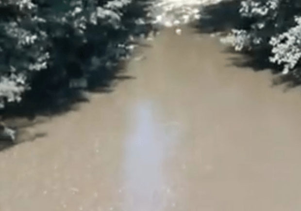 Пљевља: Река Везишница поново замућена