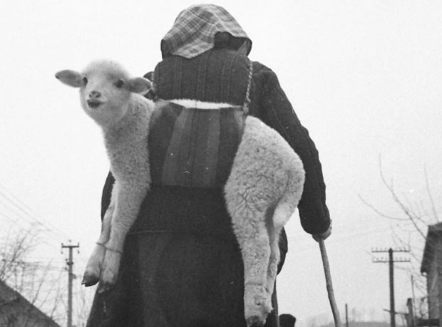 УМЕТНОСТ ФОТОГРАФИЈЕ: Радослав Ранисављевић