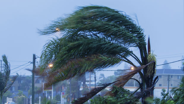 Савет премијерке Барбадоса: Останите у кућама, када сте мртви мртви сте