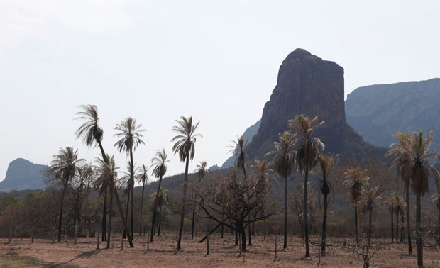 Пожари у Амазонији одговарају Болсонару?