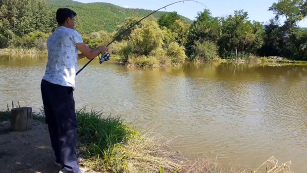 Лепосавић: Изловили чак 170 килограма шарана