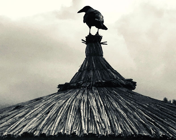 ЗАПИСИ ИЗ ПАРИЗА: Вечни Гавран