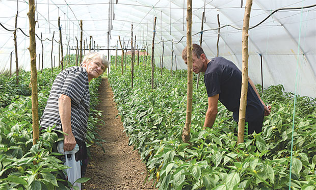 Пољопривреда је - коцка