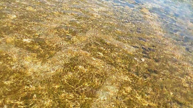 ИЗЛИВИ НАЦИЗМА СЕ НАСТАВЉАЈУ: У реци код Сплита нацртан кукасти крст