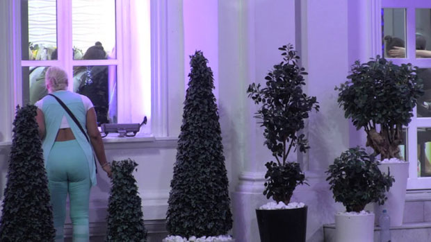 МАРИЈИ КУЛИЋ ПАО МРАК НА ОЧИ: Драла се на Миљану због Золе па напустила Белу кућу (ВИДЕО)