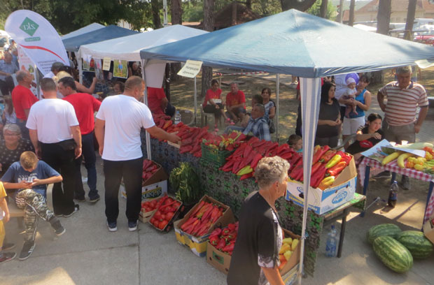 ЗАВРШЕНИ ДРЕНОВАЧКИ ДАНИ: Добра паприка и још бољи фолклор