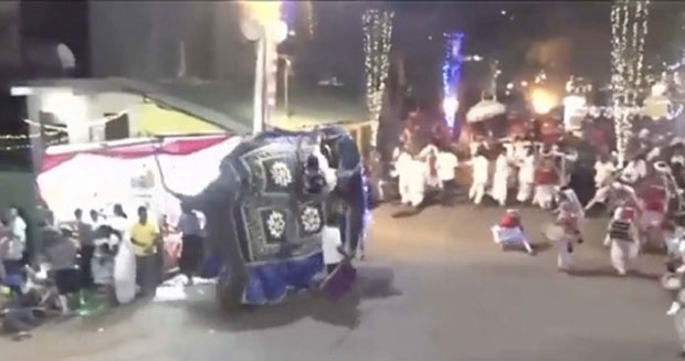 Шри Ланка: Слон подивљао током прославе, 18 особа повређено (ВИДЕО)