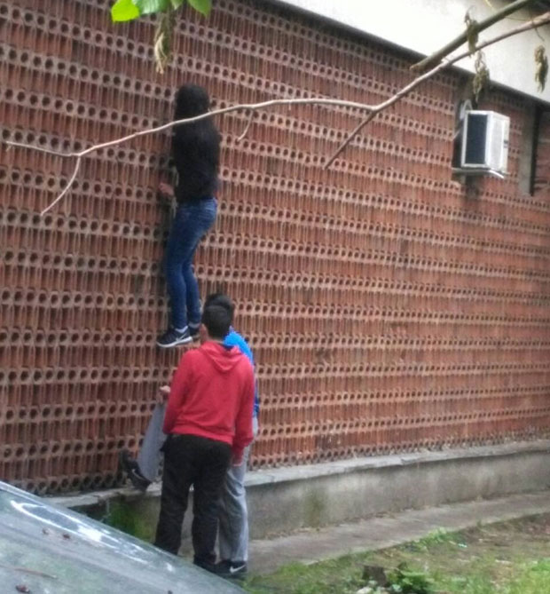 Станари траже други прилаз за зависнике