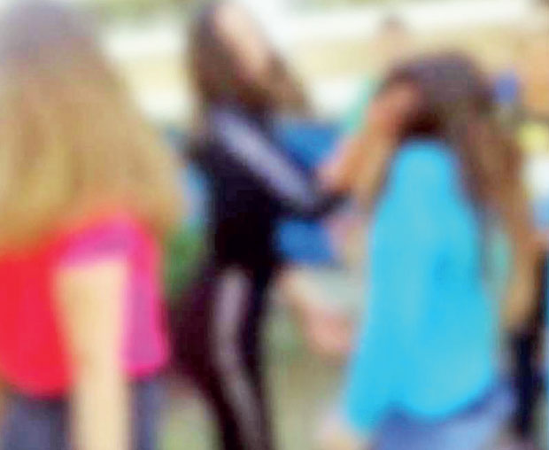 МАЈКА ДЕВОЈЧИЦЕ НАПАДНУТЕ У БАРАЈЕВУ: Боли кад ти бију дете!