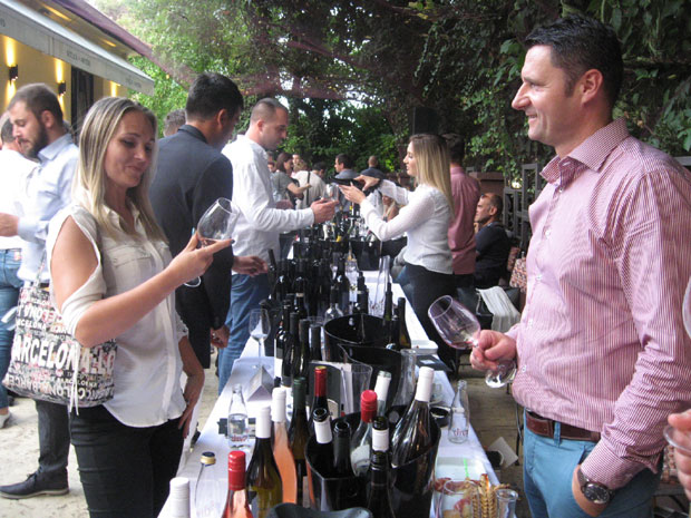 КУБО ФЕСТ ВИНА у Новом Саду: За љубитеље божанског напитка