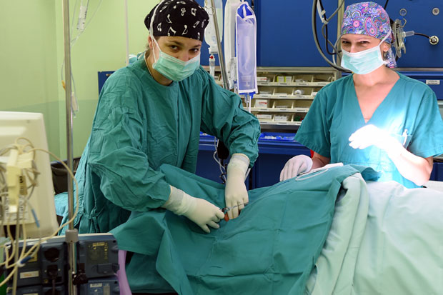 ПОВИШИЦЕ ОД 1. НОВЕМБРА: Лекарима 10, а учитељима и војницима веће плате девет одсто