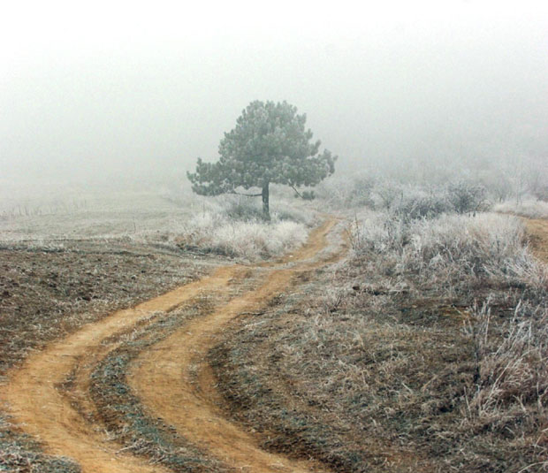 Метеоролози упозоравају: Наредних дана мраз прети повртарским културама