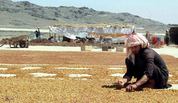 НОВИ МАСАКР У АВГАНИСТАНУ: Војска бомбардовала сељаке на пољу
