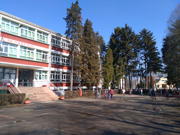 Мала премија, мала и одштета