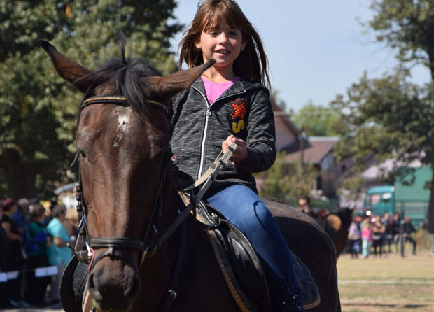 Коњички спорт враћа се на „велика врата“ (ФОТО)