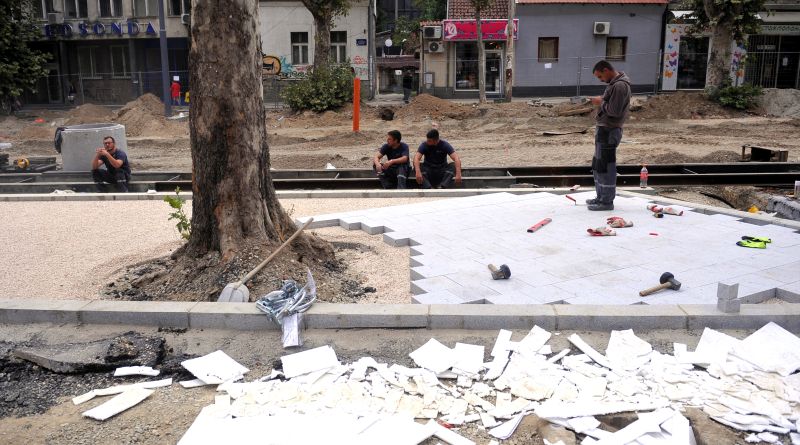 Без бетонирања дрвећа