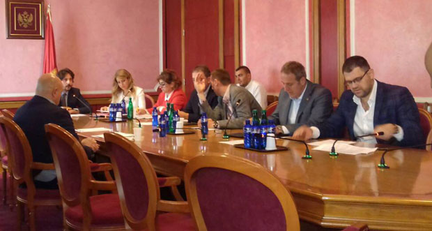 Приватизације у ЦГ: Не продавати златне коке