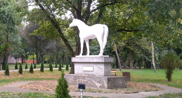 Повратак коњичког каса у Зобнатицу