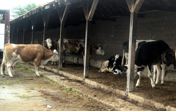 Пољопривреди највише новца за три деценије