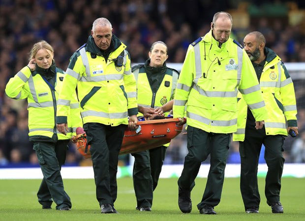 Волкот није теже повређен