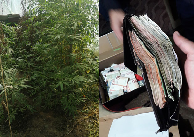 Заплена дроге у две куће