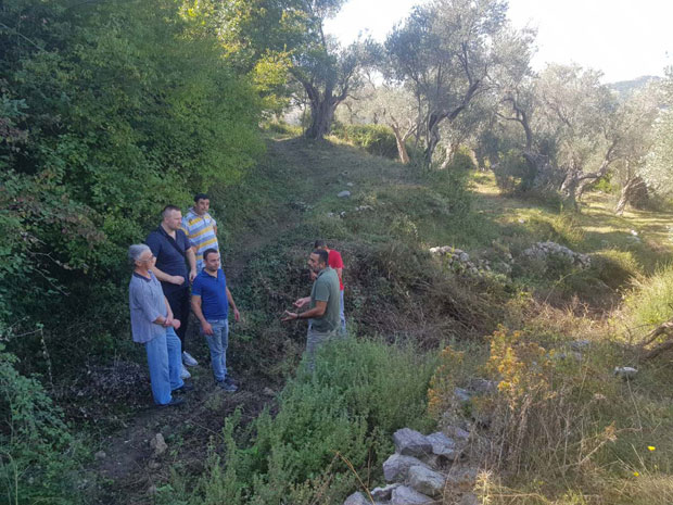 У Сумини пут међу маслинама