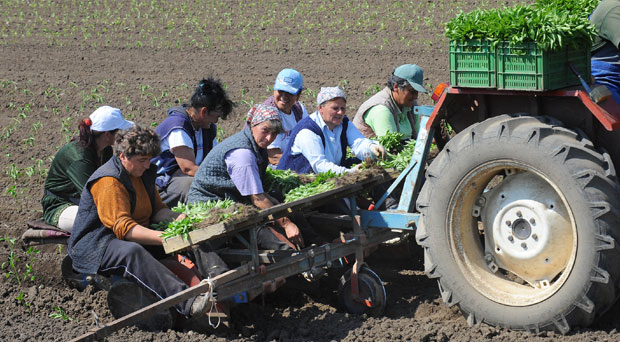 Женама је најтеже у селима