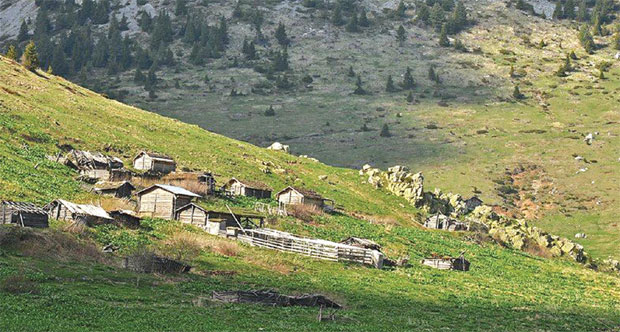 Рожаје “на удару” Албанаца са КиМ: Нелегално подижу катуне на Штедиму