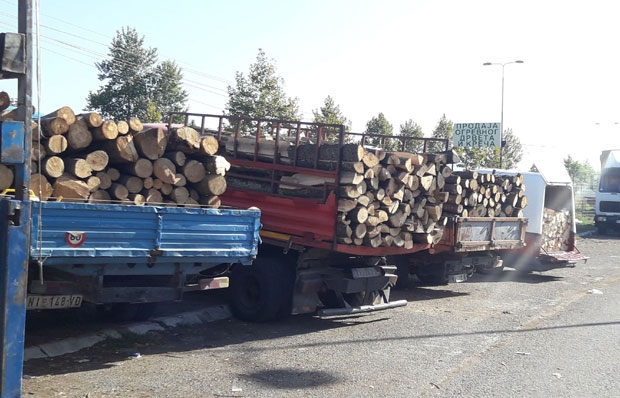 Беспарица јача од јефтиноће