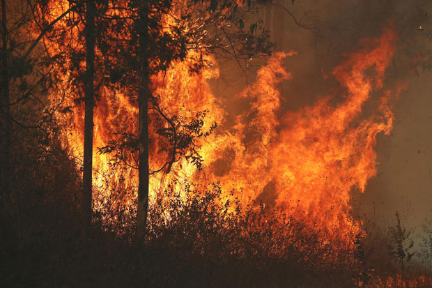 ДЕО АУСТРАЛИЈЕ У ПЛАМЕНУ: Букти 40 пожара, гасe их стотине ватрогасаца, ватра без контроле! (ВИДЕО)
