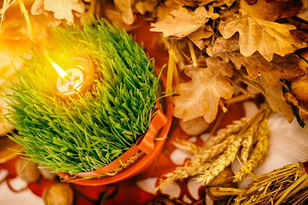 Српски политичари славе Божић у кругу породице: Зорана Михајловић меси чесницу, Вулин дели хлеб са војницима, Чанак каже да није неки верник, а ево шта је поручио Ђилас
