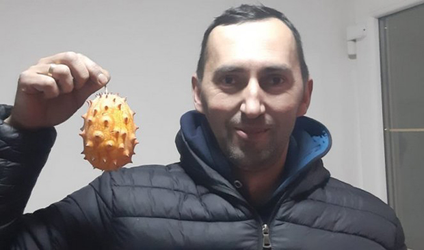 Комшије му се смејале, а Милан цео род продао за новогодишње празнике у року од шест сати: Килограм КИВАНА 1.500 динара