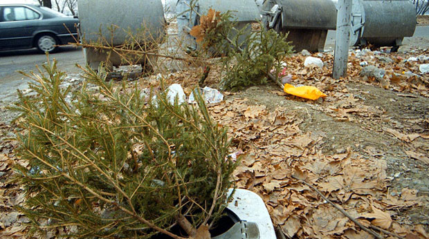 Хрвати масовно побацали јелке да не испадну Срби, КАТОЛИЧКИ СВЕШТЕНИК их опомиње, али не вреди